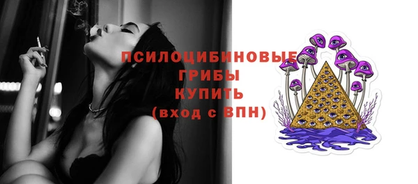 стаф Одинцово