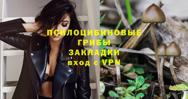 мет Снежногорск