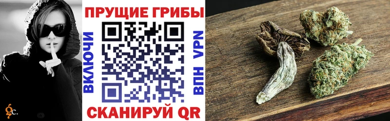 Псилоцибиновые грибы ЛСД  это телеграм  Судогда  цена  