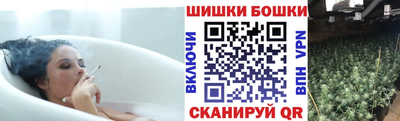 Бошки марихуана White Widow  shop наркотические препараты  Судогда 
